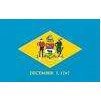 Delaware State Flag, 8x12', Nylon