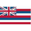 Hawaii State Flag, 4x6', Nylon