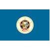 Minnesota State Flag, 12x18", Nylon