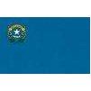 Nevada State Flag w/pole hem, 3x5', Nylon