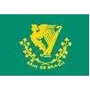 Erin Go Bragh Flag, 3x5', Nylon