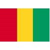 Guinea Flag, 3x5', Nylon