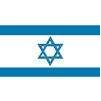 Israel Flag, 12x18", Nylon