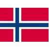 Norway Flag, 4x6', Nylon