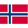 Norway Flag, 5x8', Nylon