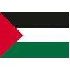 Palestine Flag, 4x6', Nylon