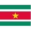 Suriname Flag, 4x6', Nylon