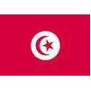 Tunisia Flag, 4x6', Nylon