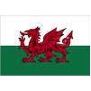 Wales Flag, 3x5', Nylon