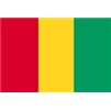 Guinea Flag w/pole hem, 4x6', Nylon