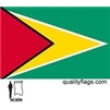 Guyana Flag w/pole hem, 3x5', Nylon