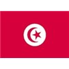 Tunisia Flag w/pole hem, 4x6', Nylon