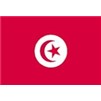 Tunisia Flag w/pole hem, 4x6', Nylon