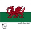 Wales Flag w/pole hem, 3x5', Nylon