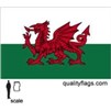 Wales Flag w/pole hem, 2x3', Nylon