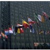 35 Member OAS Flag Set Frg w/pole hem, 4x6', Nyl