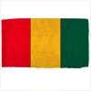 Guinea Flag w/pole hem, 5x8', Nylon