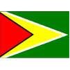 Guyana Flag, 4x6', Nylon