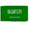 Saudi Arabia Flag w/pole hem, 2x3', Nylon