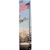 Atlas Outdoor Flagpole, 30', Alumin Bronze