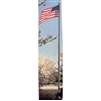 Atlas Outdoor Flagpole, 25', Alumin Silver