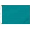 Parrot Blue Flag, 12x18", Nylon