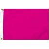Magenta Flag, 12x18", Nylon