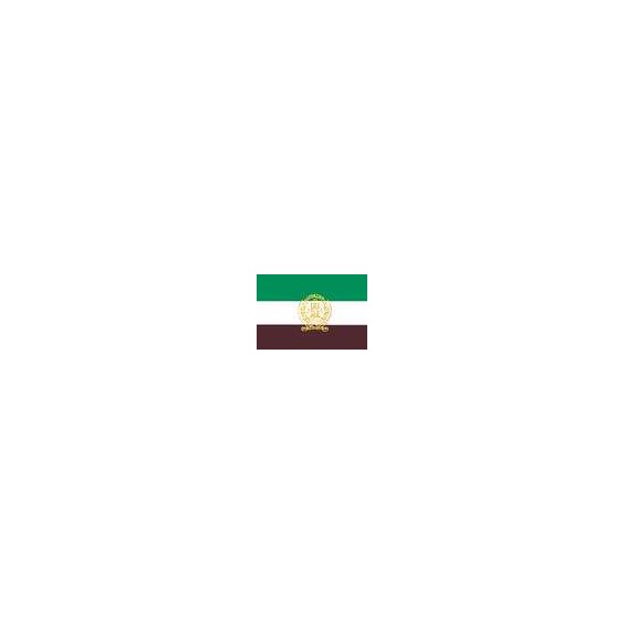 10200010-1
