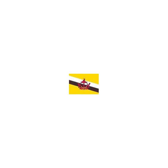 10200254-1