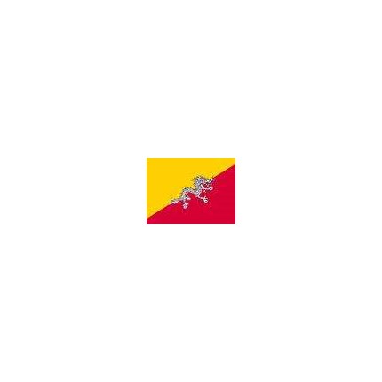 10200204-1