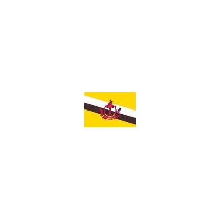10200251-1