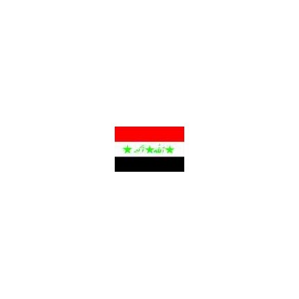 3 x 5' Nylon Syria Flag